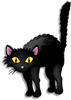 Halloween - Kot czarny