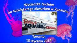 Ripley's Aquarium w Toronto